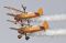 Wingwalkers Breitling,...