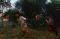 Lahan Kosong di Jakabaring...