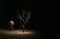 Teater Rengget Pengungsi...