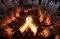 Lilin Solidaritas Untuk...