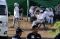 Polisi Bongkar Kuburan...