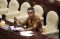 Calon Anggota Ombudsman...