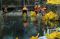 Bersih-Bersih Sampah...