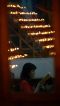 Umat Tri Dharma Sambut...