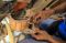 Mendaur Ulang Limbah...