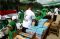 Ratusan Siswa Madrasah...