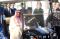 Raja Salman Tanam Pohon...
