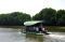 Menikmati Tracking Mangrove...