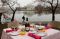 Sakura Mekar di Washington