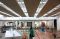 Chitose International...