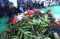 Dialog Masyarakat Baduy...