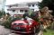 Pohon Tumbang Timpa...