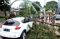 Pohon Tumbang Timpa...