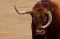 Menyedihkan, Banteng...