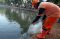 Pasukan Orange Tabur...