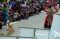 Toboali Fashion Carnival,...
