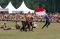 Presiden Jokowi Hadiri...