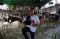 Kontes Burung Partai...