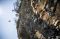 Kejuaraan Red Bull Cliff...