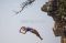 Kejuaraan Red Bull Cliff...