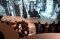 90 Frames of Fame Hadir...