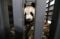 Giant Panda Cai Tao...