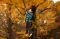 Wisata Musim Gugur di...