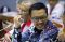 Bahas Asian Games, Komisi...