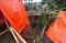 Tergerus Air Hujan,...