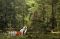 Gedong Songo Royal Culture