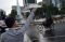 Car Free Night Jalan...