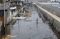 Giant Sea Wall di Pantai...