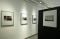 Pameran Foto Berharap...