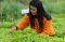 Sinar Mas Agribusiness...