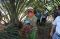 Sinar Mas Agribusiness...