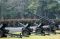 Panglima TNI Pimpin...