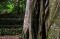 Spiritualitas Trunyan,...