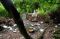 Spiritualitas Trunyan,...
