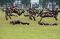 Kopassus Gelar Serah...