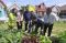 Urban Farming Center...