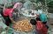 Ritual Ceng Beng di...