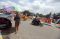 Warna Warni Tepian Sungai...