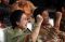 Megawati Hadiri Peringatan...