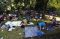 Taman Margasatwa Ragunan...