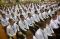 376 Calon Taruna Bersaing...