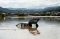 Banjir Bandang di Jepang,...
