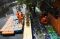 Sambut Asian Games,...