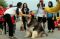 Jalan Santai Royal Canin...