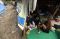 Tim Medis ACT Bantu...