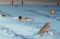 Persiapan Atlet Polo...